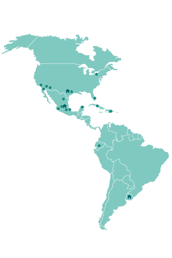 Mapa de presencia internacional de Locolectivo